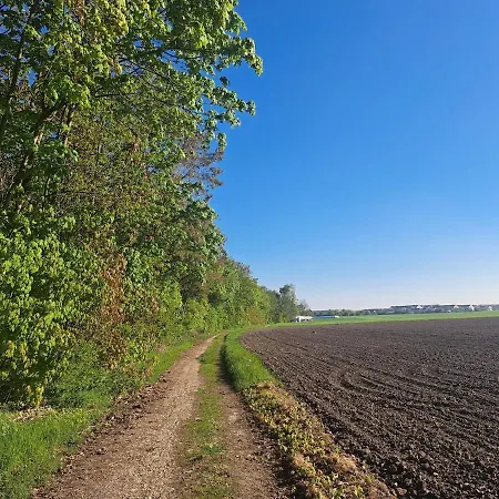 Relax Seenaehe Zum Kulkwitzer Markranstädt