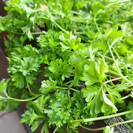 Relax Seenaehe Zum Kulkwitzer アパート Markranstädt