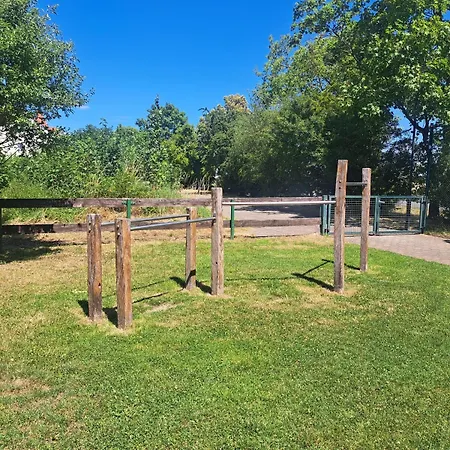 Relax Seenaehe Zum Kulkwitzer アパート