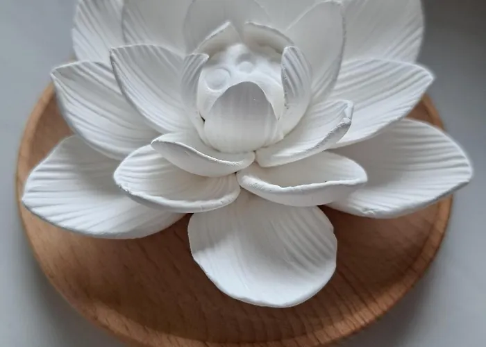 Daire Relax Seenaehe Zum Kulkwitzer