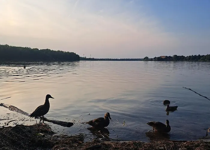 Daire Relax Seenaehe Zum Kulkwitzer Markranstädt