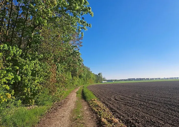 Relax Seenaehe Zum Kulkwitzer Markranstädt
