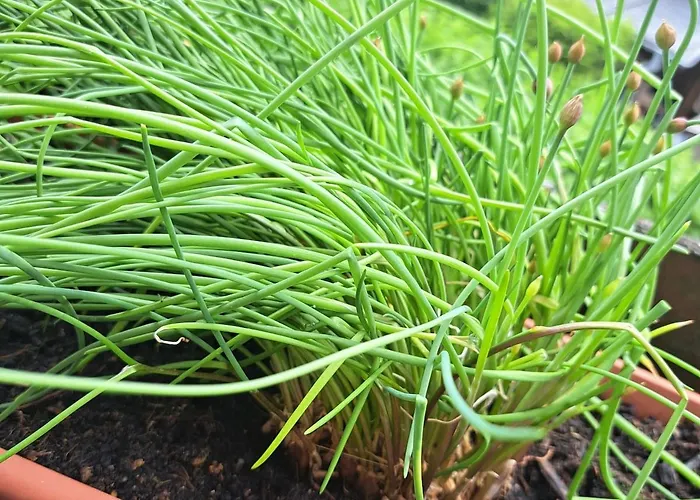 Relax Seenaehe Zum Kulkwitzer