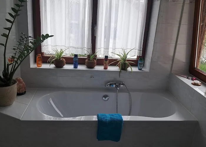 Relax Seenaehe Zum Kulkwitzer