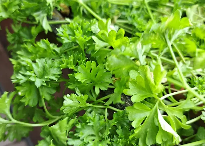 Relax Seenaehe Zum Kulkwitzer Daire Markranstädt