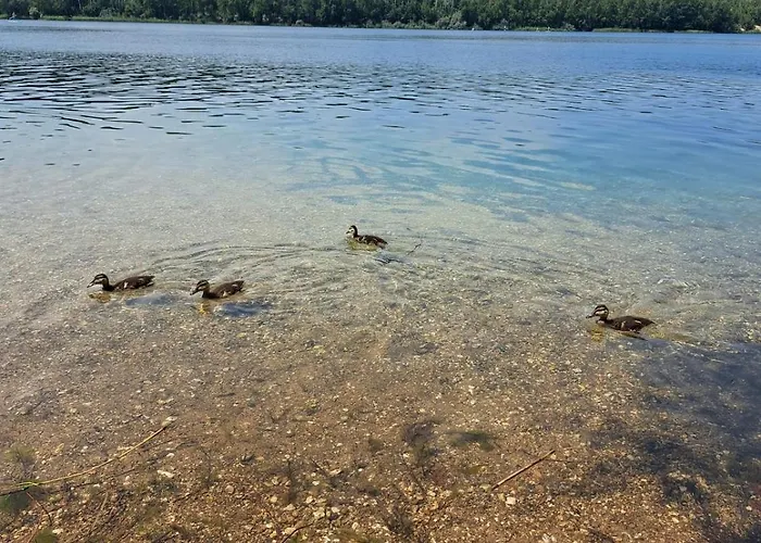 Daire Relax Seenaehe Zum Kulkwitzer *