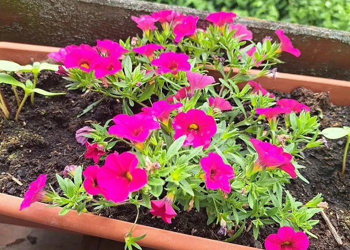 Relax Seenaehe Zum Kulkwitzer * Markranstädt